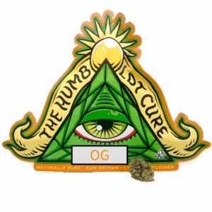 Green pyramid with eye and sunburst.