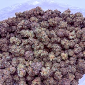 Bulk Flower Amaretto Mintz by The Humboldt Cure