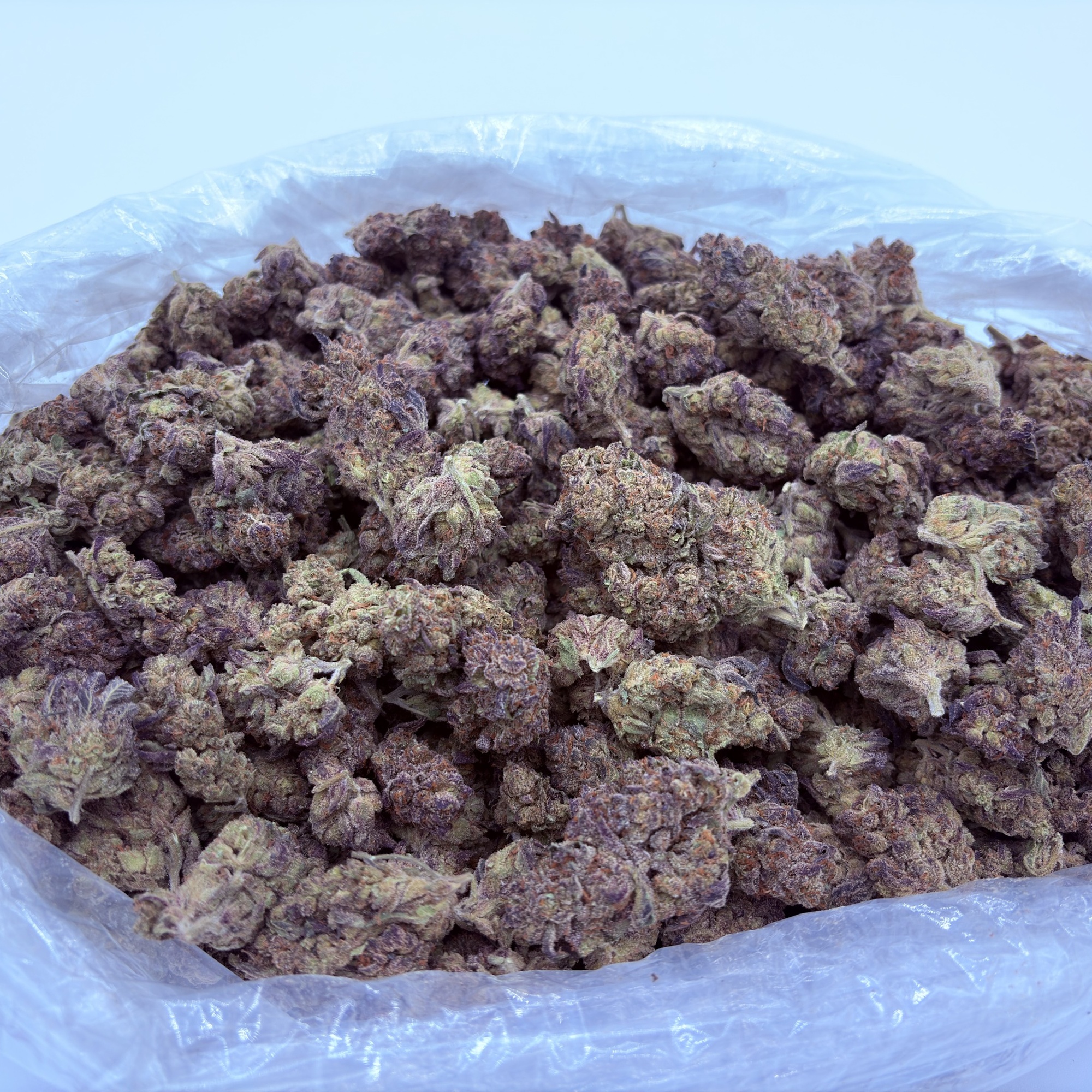 Bulk Flower G Runtz