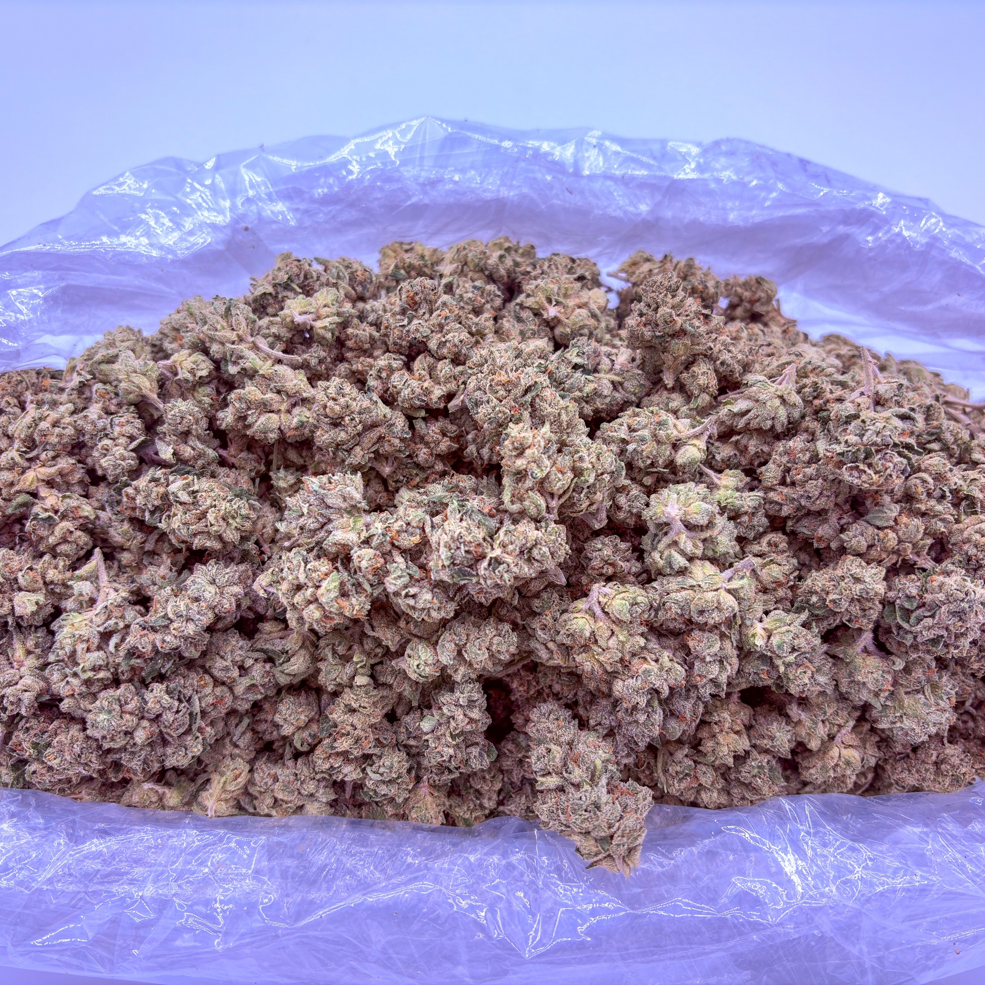 Bulk Flower Toad Venom